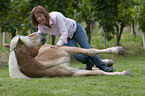 woman with Haflinger horse