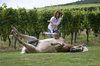 woman with Haflinger horse