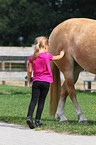 girl with haflinger horse