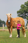 girl with haflinger horse