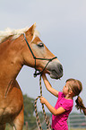 girl with haflinger horse