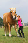 girl with haflinger horse