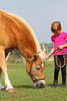 girl with haflinger horse