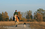 woman rides haflinger horse and is followed by a dog