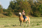 woman rides haflinger horse
