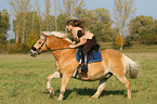 woman rides haflinger horse