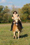 woman rides haflinger horse