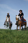 western rider