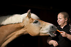 woman with Haflinger horse