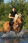 woman rides Haflinger horse