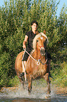 woman rides Haflinger horse