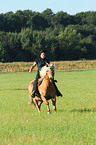 woman rides Haflinger horse