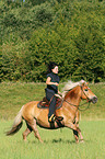 woman rides Haflinger horse