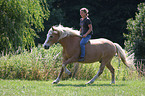 girl and Haflinger horse