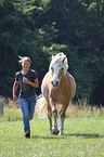 girl and Haflinger horse