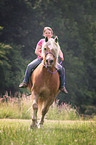 girl and Haflinger horse