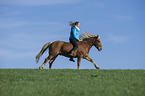 woman rides Haflinger horse