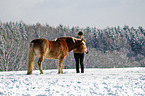 woman and Haflinger horse