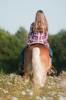 girl rides Haflinger horse
