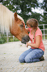 woman and Haflinger