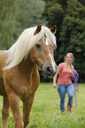 woman and Haflinger