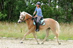 woman rides Haflinger