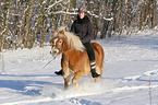 woman rides Haflinger