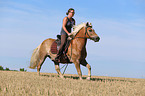 woman rides Haflinger Horse
