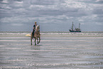 woman rides Haflinger Horse