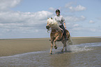 woman rides Haflinger Horse