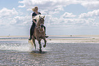 woman rides Haflinger Horse
