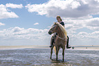 woman rides Haflinger Horse