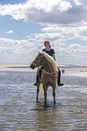 woman rides Haflinger Horse