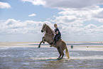 woman rides Haflinger Horse