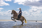 woman rides Haflinger Horse