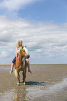 woman rides Haflinger Horse