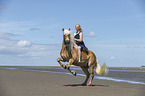 woman rides Haflinger Horse