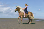 woman rides Haflinger Horse