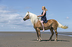 woman rides Haflinger Horse