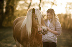 woman with Haflinger