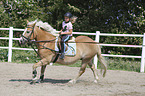 girl rides Haflinger
