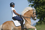 woman rides Haflinger