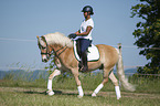 woman rides Haflinger
