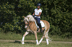 woman rides Haflinger