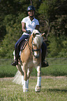 woman rides Haflinger