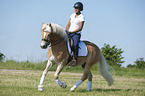 woman rides Haflinger