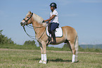 woman rides Haflinger