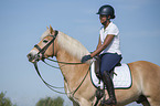 woman with Haflinger