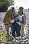 woman with Haflinger
