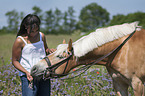 woman with Haflinger